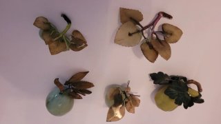 Conjunto Frutas Jade y Serpentina