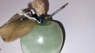Conjunto Frutas Jade y Serpentina
