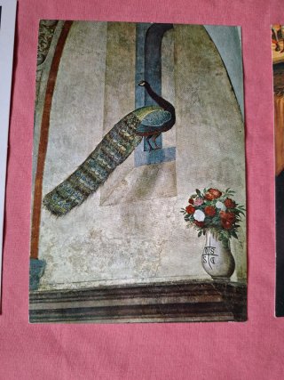 Lote 7 Postales Arte Renacentista
