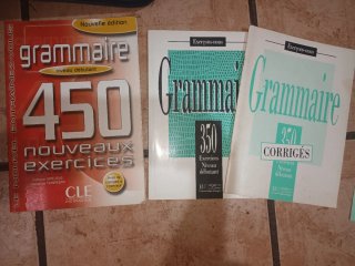Grammaire 450 nouveaux exercices. Niveau débutant