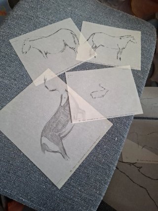 Arte