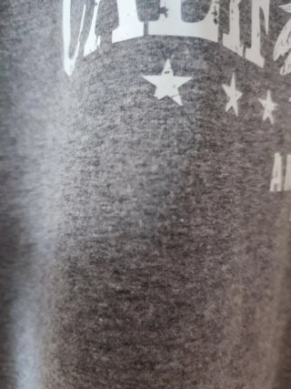 Camiseta gris con águila California