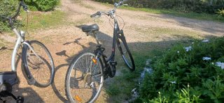 Bicicleta urbana negra y plateada