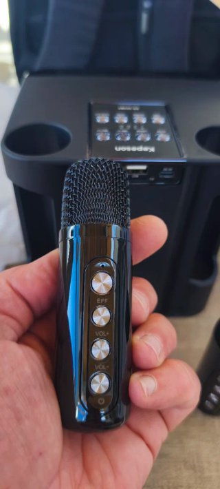 Karaoke Portátil con 2 Micrófonos