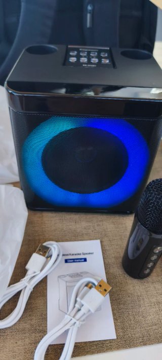 Karaoke Portátil con 2 Micrófonos
