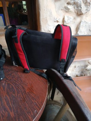 Mochilas para perros y mascotas