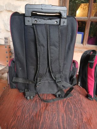 Mochilas para perros y mascotas
