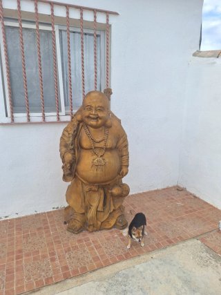 Figura gigante Buda De La Felicidad. 1,50 de alto
