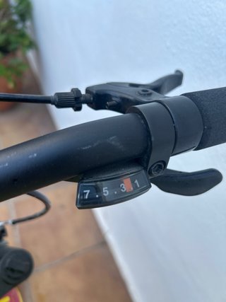 Bicicleta Orbea MX XC