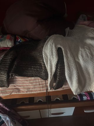 Conjunto de 2 jerséis de punto