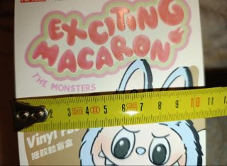 Labubu The Exciting Macaron Pop Mart