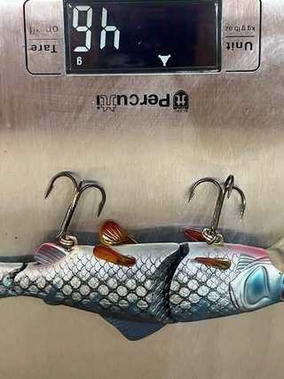 Señuelo Rígido Spinning Pesca