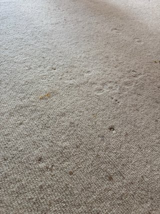Alfombra Zara Beige