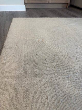 Alfombra Zara Beige