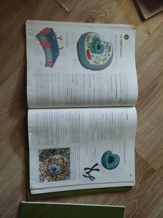 Biología y geología, 3 ESO, Operación mundo