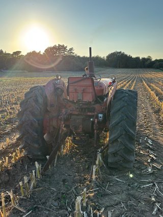 Tractor David Brown 990