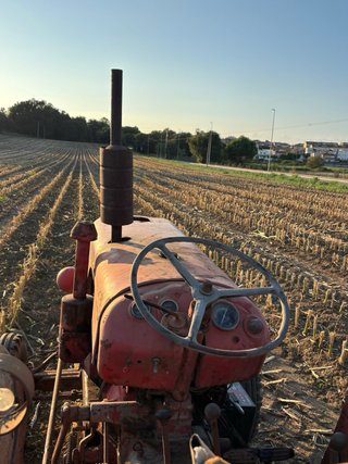 Tractor David Brown 990