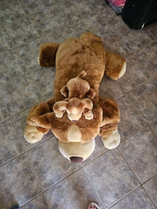 Peluche Oso Grande con Perro