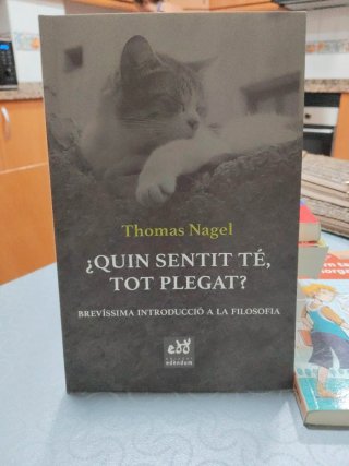 ¿Quin sentit té, tot plegat?: Brevíssima introd...