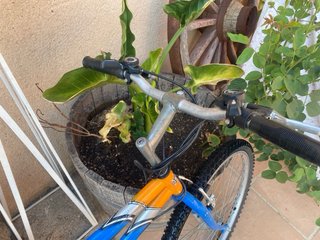 Bicicleta de Montaña Azul