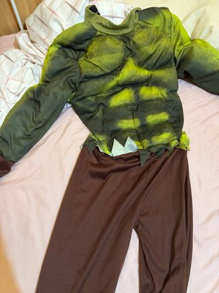 Disfraz Hulk Talla unica