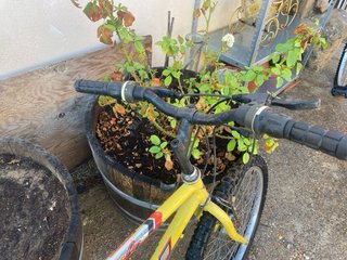 Bicicleta amarilla para joven