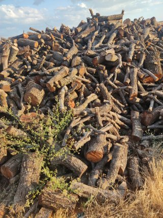 Leña de encina para chimenea