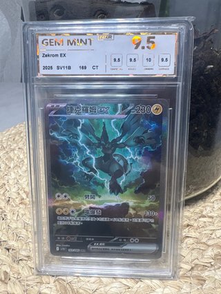 Zekrom EX SV11B 169 Carta Pokémon Graduada