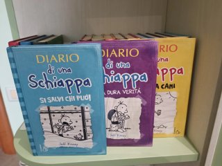 Diario di una schiappa. Ediz. illustrata
