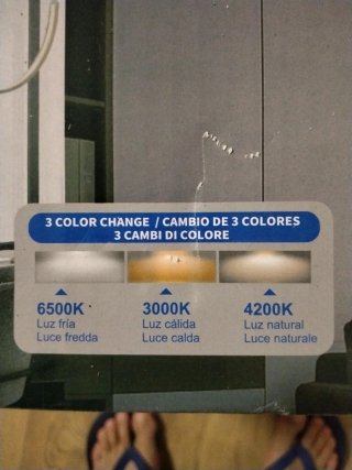 Ventilador de Techo con Luz LED EX