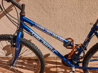 Bicicleta Globe Trotter