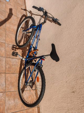 Bicicleta Globe Trotter
