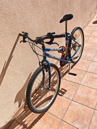 Bicicleta Globe Trotter