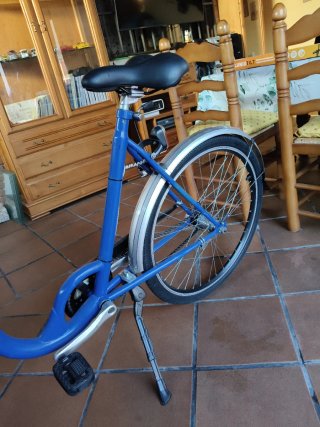 Bicicleta azul