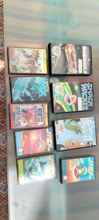 Lote 10 Juegos MSX Clásicos