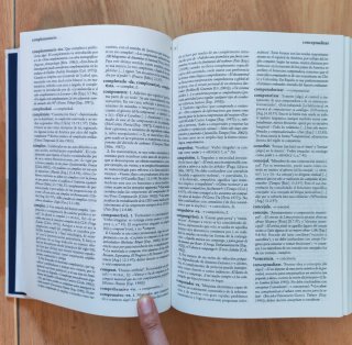 Diccionario panhispánico de dudas