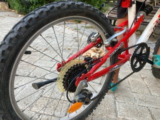 Bicicleta Infantil 20 pulgadas