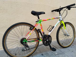 Bici Montaña Orbea 24"