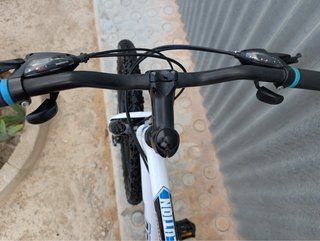 Bicicleta MTB Berg Trailrocker 2.2 - 26