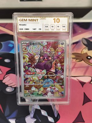 Carta Pokémon Morpeko 2025 CBB3 1407/07