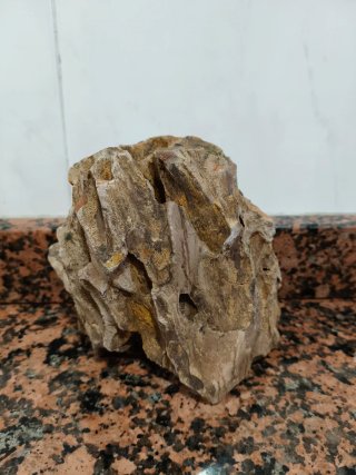 Kit Acuario Completo