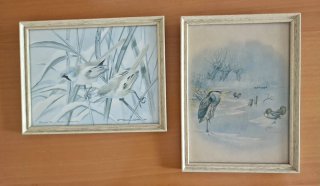 Quadros Antigos de Basil Ede e David Keer:pássaros