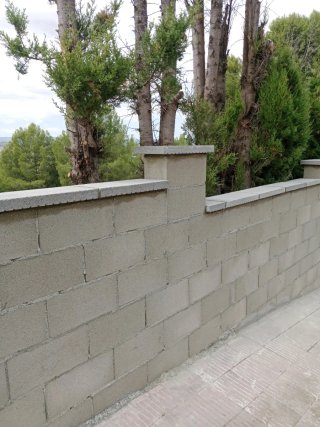 Reforma de muro de bloques y acera