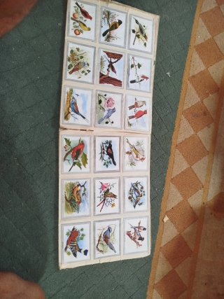 Álbum de cromos Naturaleza Vida y Color