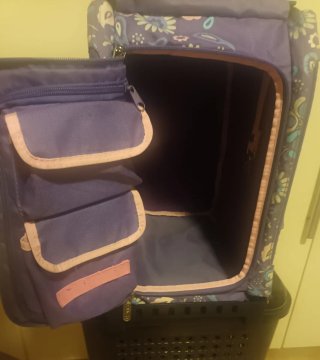 ZUCA con diseño de bailarina