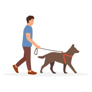 Pasear perro, puerto de la cruz, tenerife