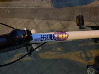 Bicicleta de montaña blanca