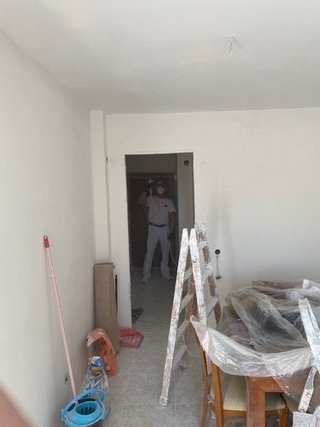 pintores profesional Madrid