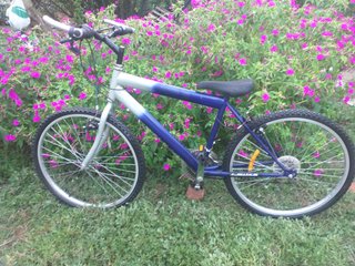 Bicicleta para reparar