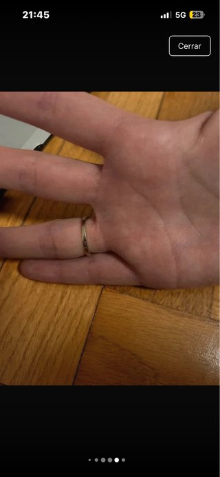 Alianza Catalana Anillo Compromiso Plata